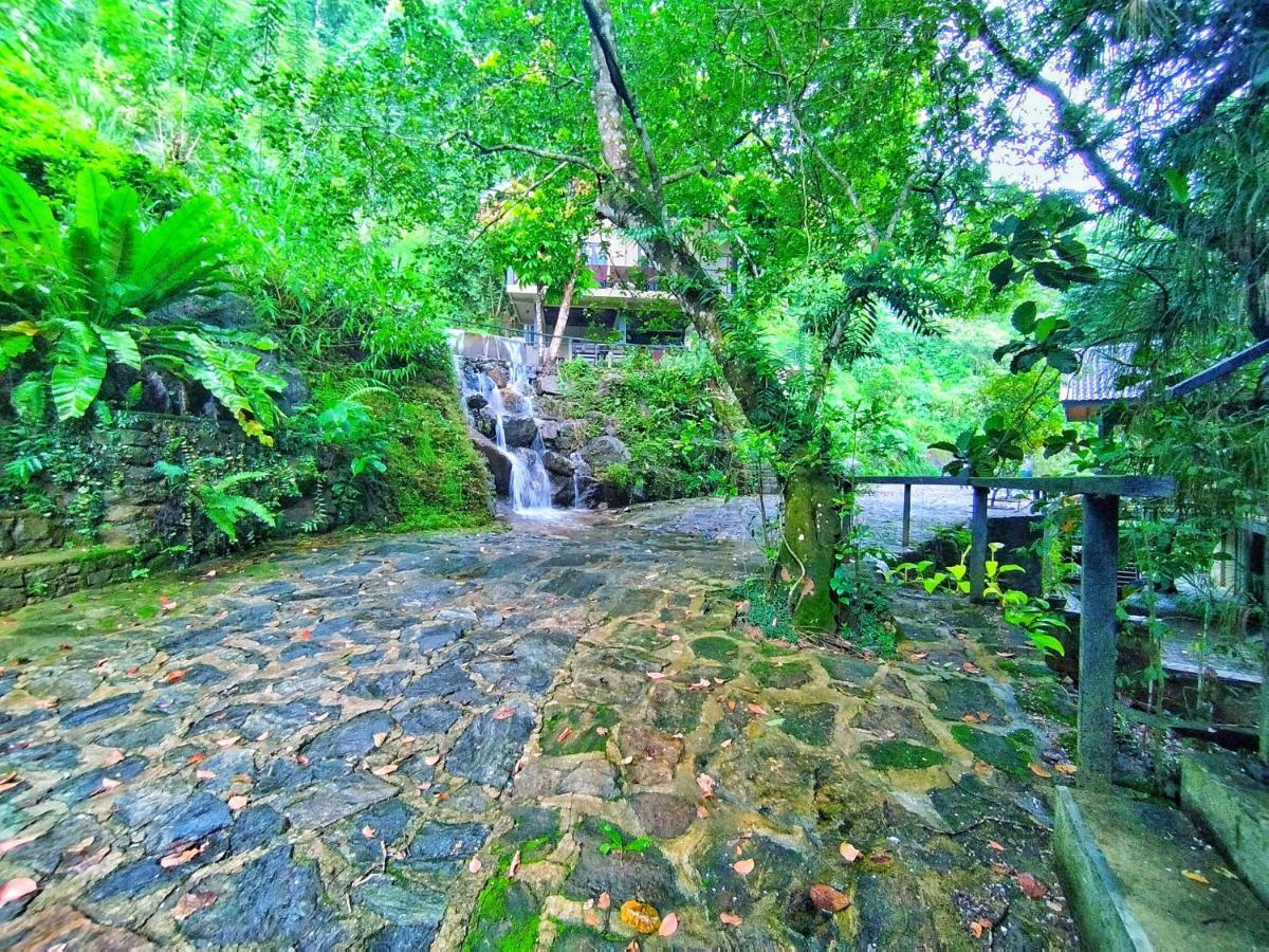Forest Shade Eco Resort Deraniyagala Экстерьер фото
