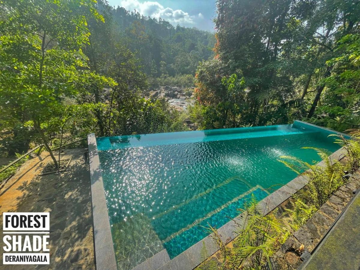 Forest Shade Eco Resort Deraniyagala Экстерьер фото